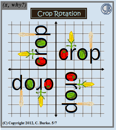 crop rotation 862 by x why?